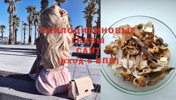 круглые Снежногорск